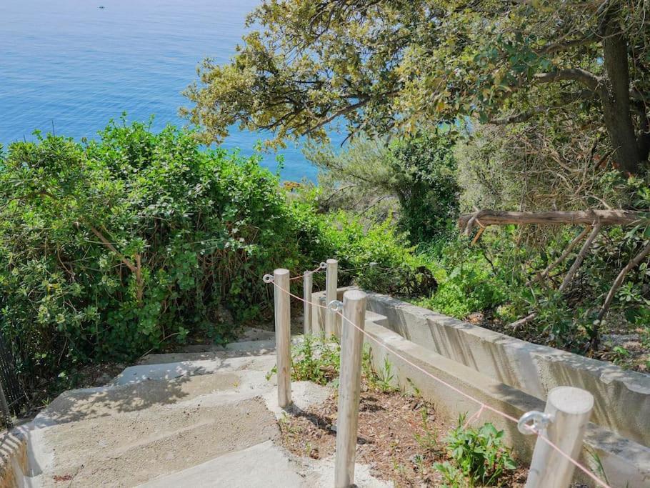Maisonnette Avec Vue Sur La Mer Exceptionnelle Carqueiranne Luaran gambar